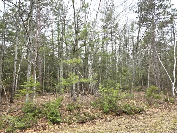LOT 513 Balsam Cir, Presque Isle, MI 49777
