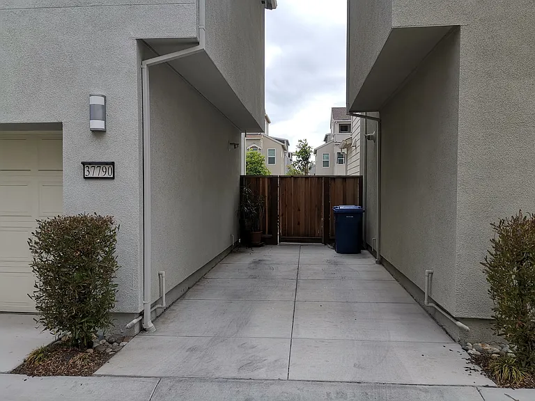 37533 Willow St #2 — Photo 19