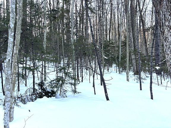 4th image of 12 Buckboard Drive