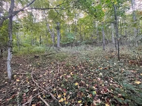 Whetstone Dr, Barren Springs, VA 24313