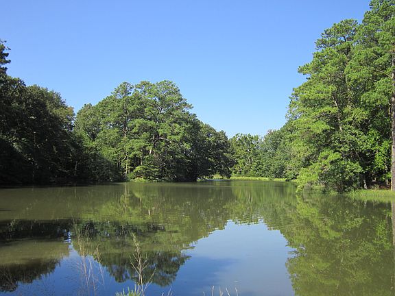 Tranquil inlet * Fish & Crab