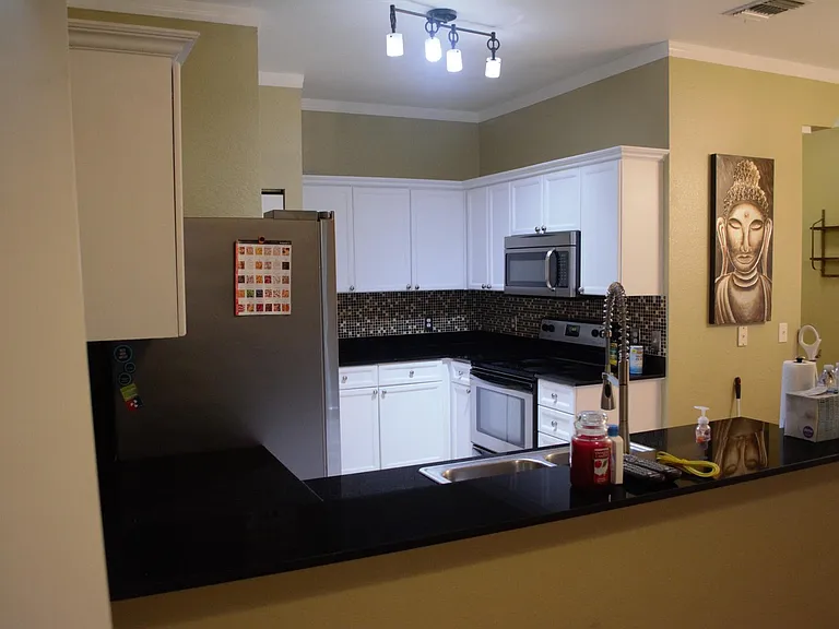 10817 Thames Vista Ct — Photo 12