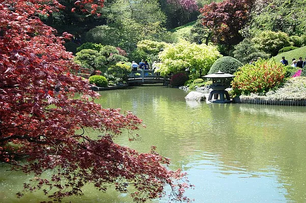 Sold by Corcoran | media 14