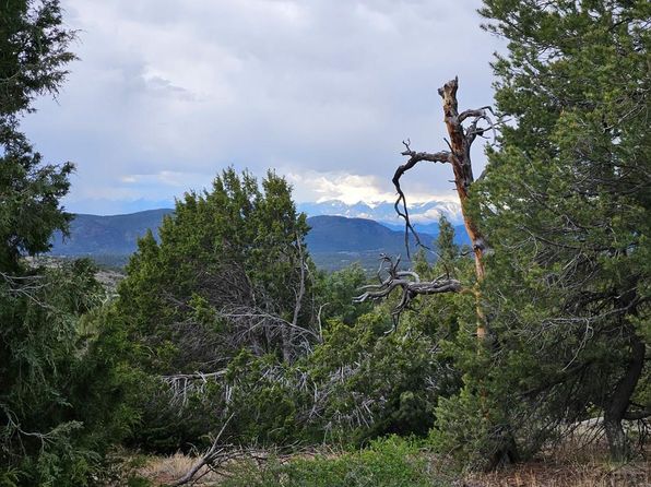 0 Wild Turkey Trl #22, Canon City, CO 81212