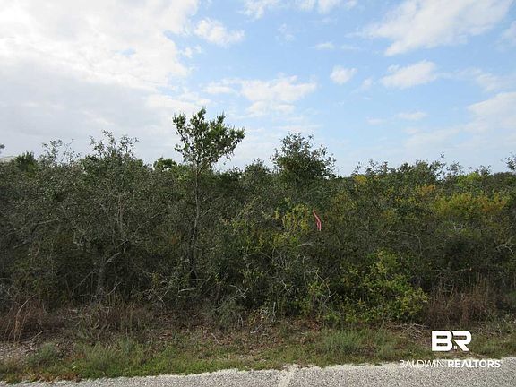 4th image of Sea Shell Dr