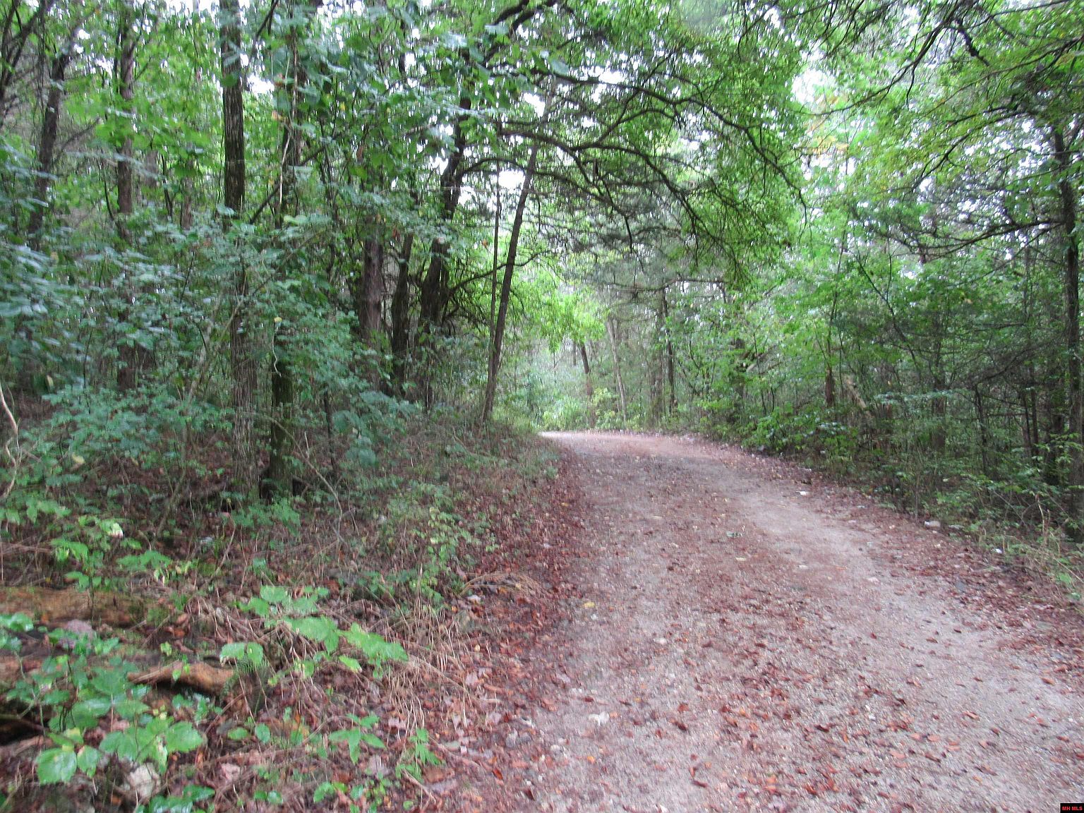 Forsyth St, Pyatt, AR 72672 Zillow