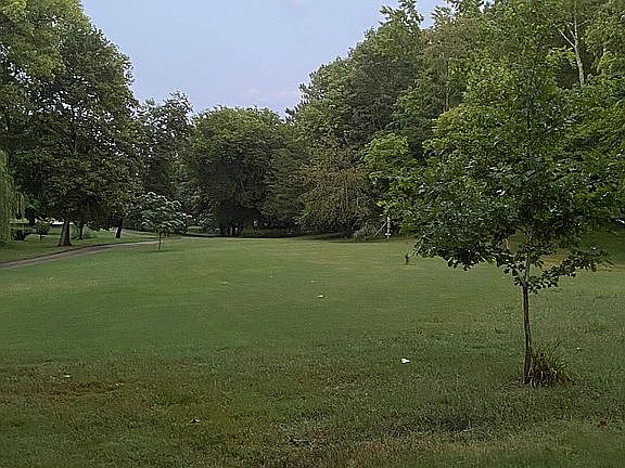 View from front porch 
