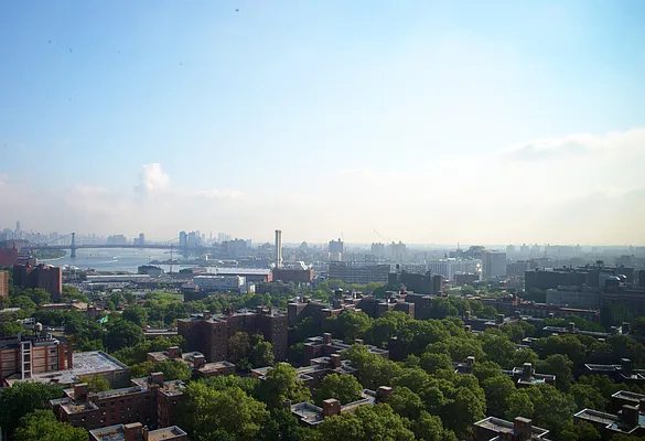 Rented by Douglas Elliman | media 9