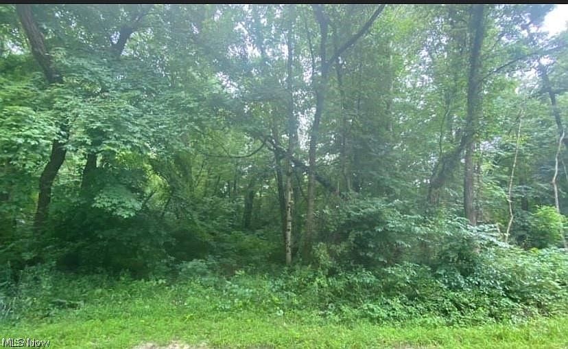 1st image of County Road 95