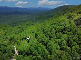 959 Nicey Gap Dr #959, Old Fort, NC 28762