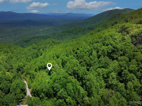 959 Nicey Gap Dr #959, Old Fort, NC 28762