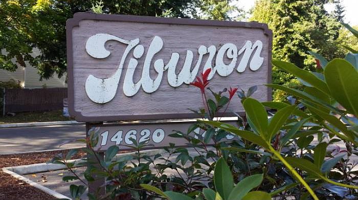 Tiburon - 1/2 block to MS
