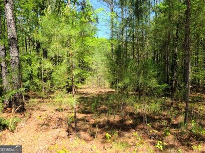 0 Sutton Rd, Forsyth, GA, 31029