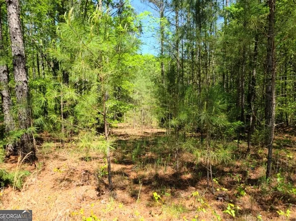 0 Sutton Rd, Forsyth, GA 31029