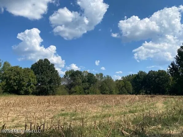 2770 State Highway 305, Coldwater, MS 38618