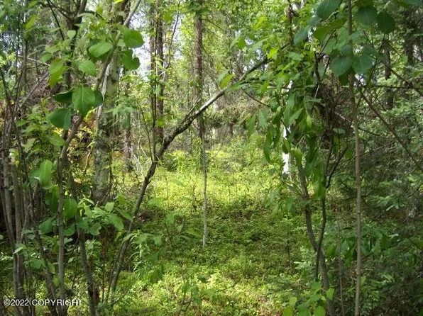 16610 East Rd, Talkeetna, AK 99676