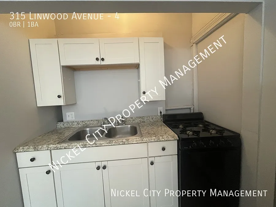 315 Linwood Avenue - Unit 4 — Photo 3
