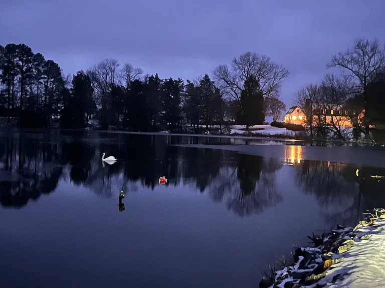 One of two ponds that you pass on the private road into the neighborhood.