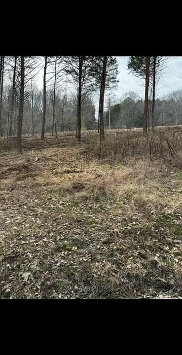 1st image of 3.05 Peytonsburg Sulphur Rd