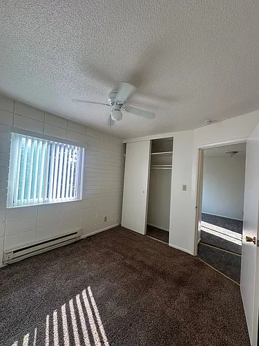 810 Mill St Photo 1