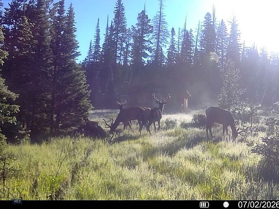 3rd image of 7379 Hahn Creek Rd