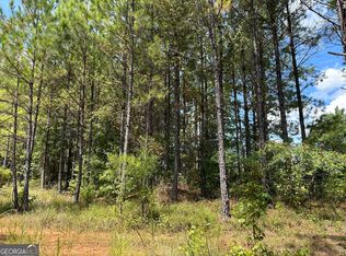 PARCEL 5 Tuck Persons Hwy, Talbotton, GA 31827