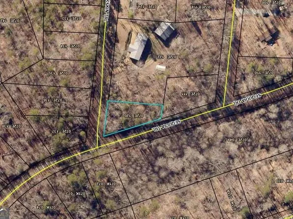 18 S Buckskin Trl, Martin, GA 30557