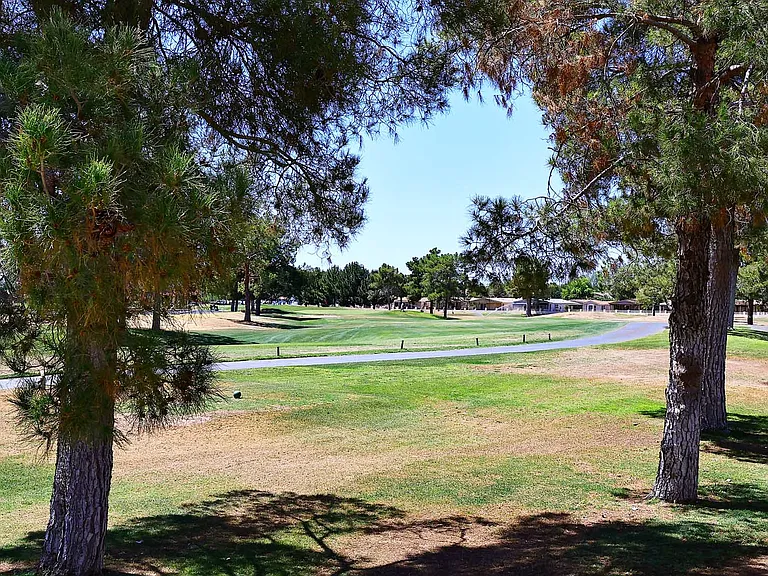 6242 S Cypress Point Dr — Photo 27