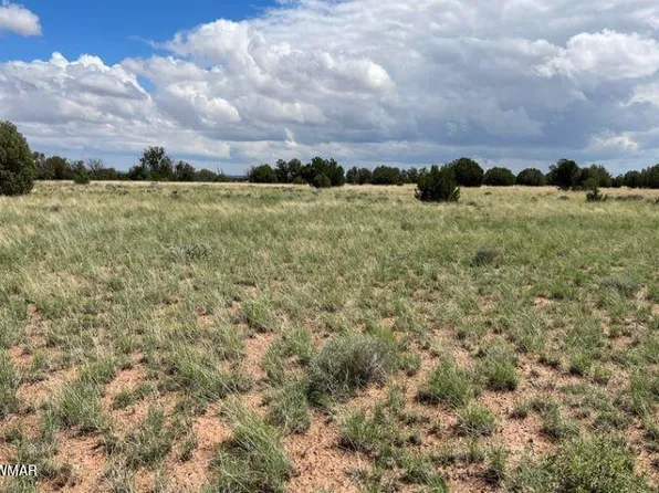 019A N 9033rd, Concho, AZ 85924
