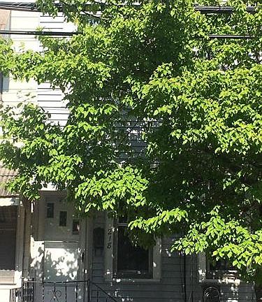 3rd image of 218 Jersey St