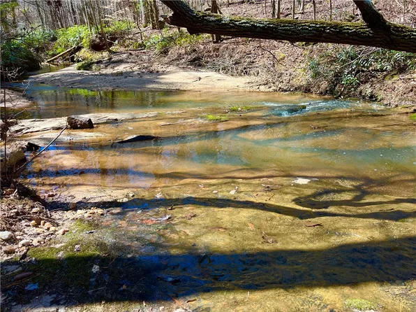 00 Sarah Simpson, Iva, SC 29655