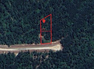 12087 High Branch Way, Willis, TX 77378