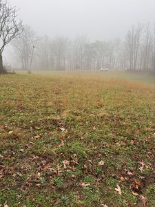 1479 Bee Rock Rd, Monterey, TN, 38574