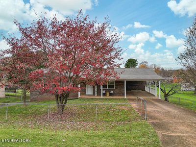 236 Doyle St, Lenoir City, TN, 37771
