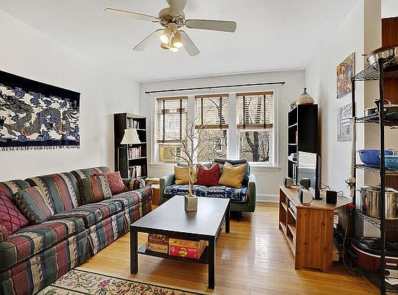 Living room has sunny windows facing residential street and trees, and hardwood floors, new paint