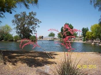 5th image of 66140 S Moon Mountain Dr