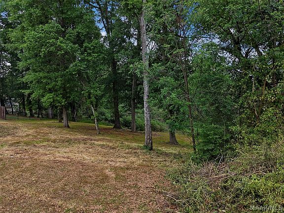 3rd image of 1611 Dominick Rd