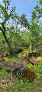 Rosanky Rd Tract 2B, Holland, TX, 76534