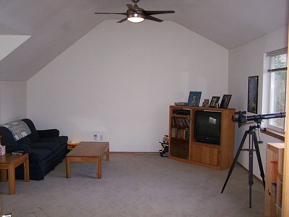 Bonus Room Vault ceilings