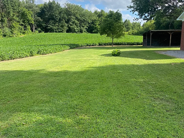 115 Kilzer Loop Rd — Photo 13