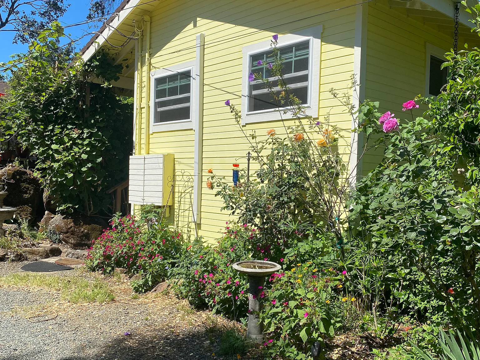 Studio, $1,650 — Photo 2