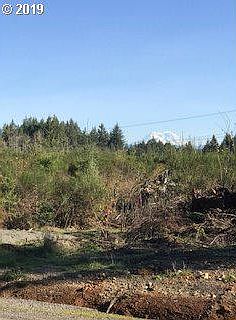 2nd image of 287 Coma Rd