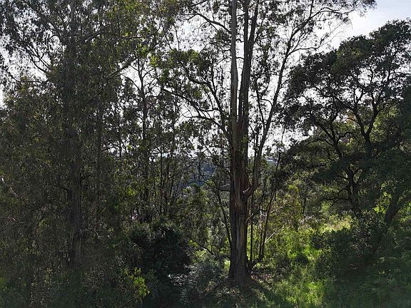 4th image of 2551 Tunnel Rd