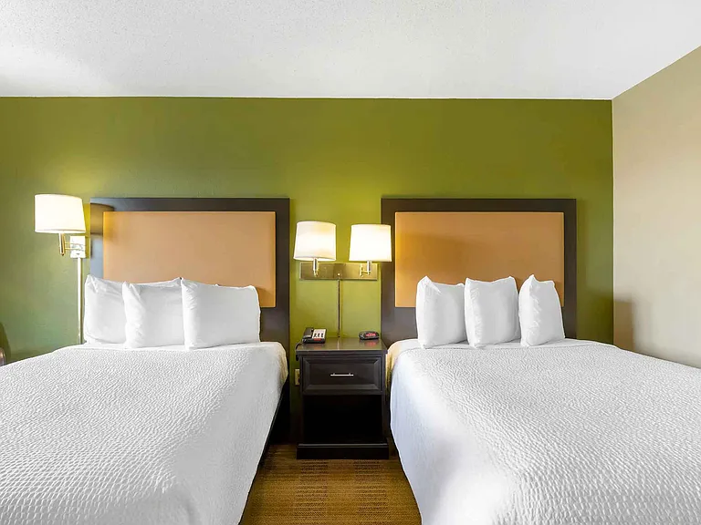 Studio Suite - 2 Full Beds