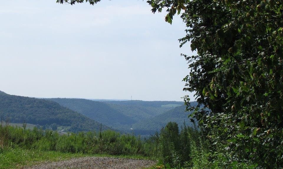 0 Owego Hill Rd, Harford, NY 13784 Zillow