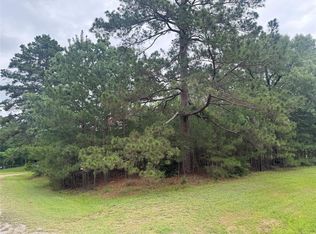Persimmon Cir, Pointblank, TX 77364