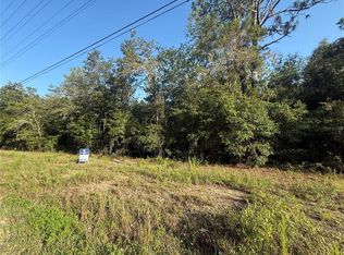 SW Sea Cliff Ave LOT 12, Dunnellon, FL 34431