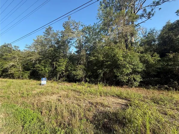 SW Sea Cliff Ave Lot 12, Dunnellon, FL 34431