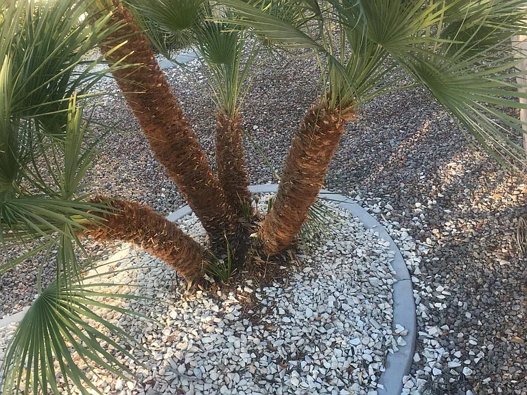 3020 Hidden Treasure Dr — Photo 44