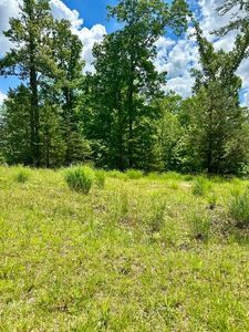 LOT 30 Commonwealth Dr, Hardy, VA, 24101
